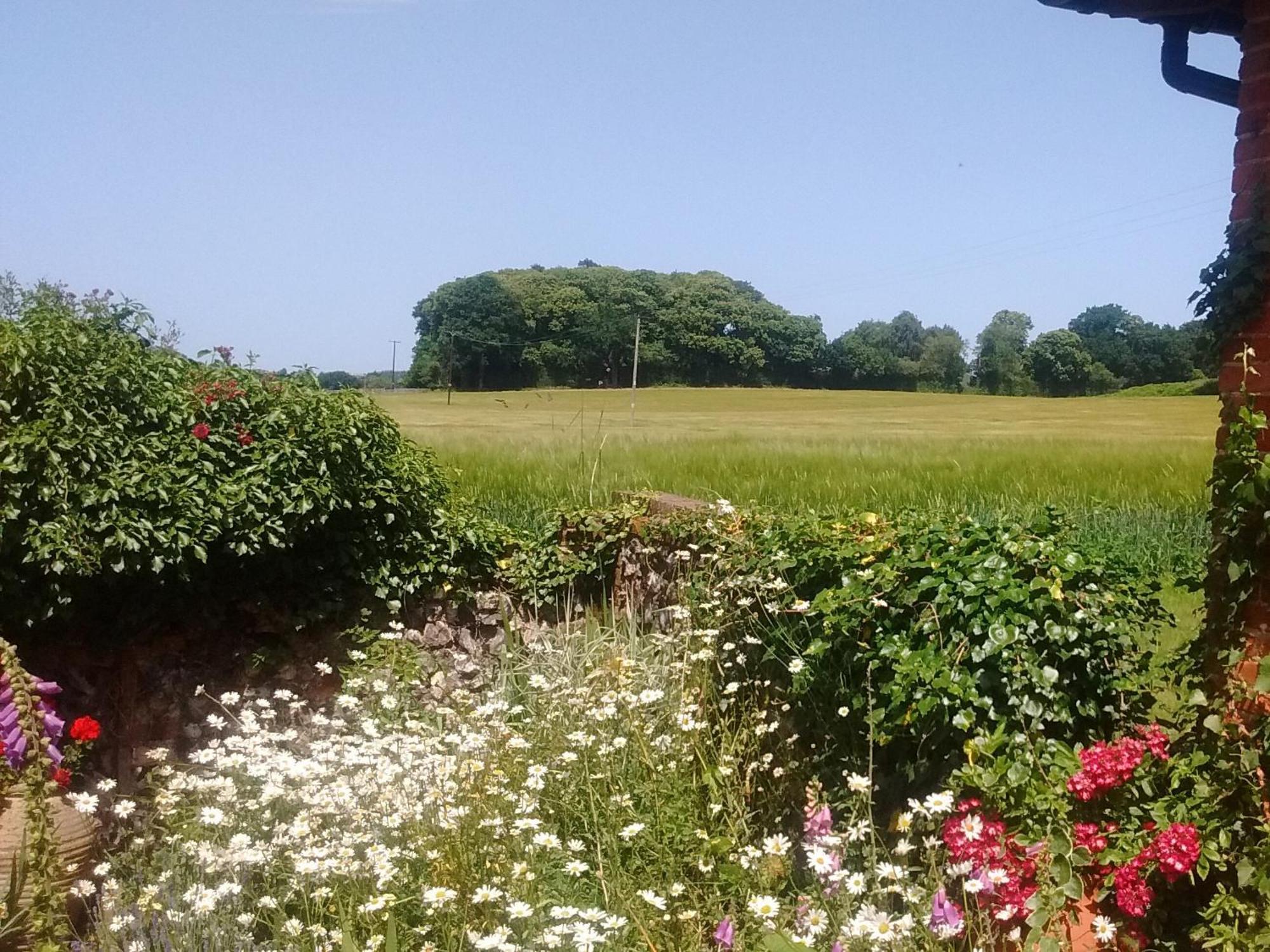 Elm Tree Barn Villa Felmingham Exterior foto